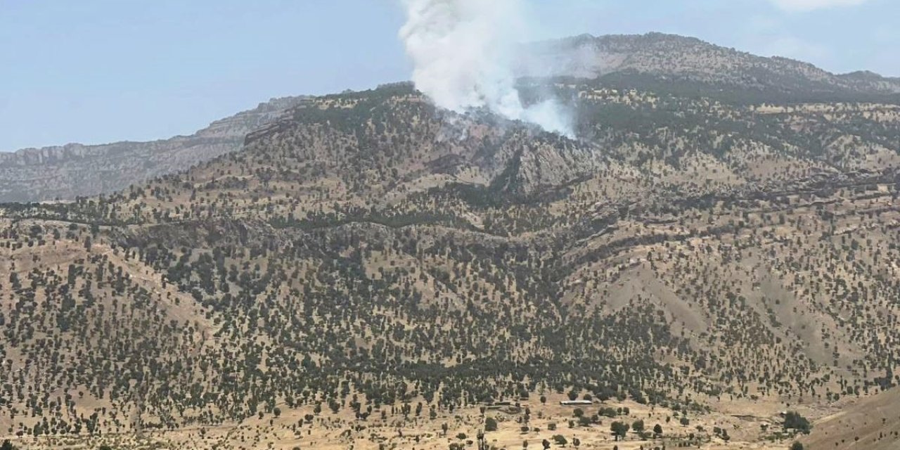 Hakkari’de yangın! 5 hektar ormanlık alan zarar gördü