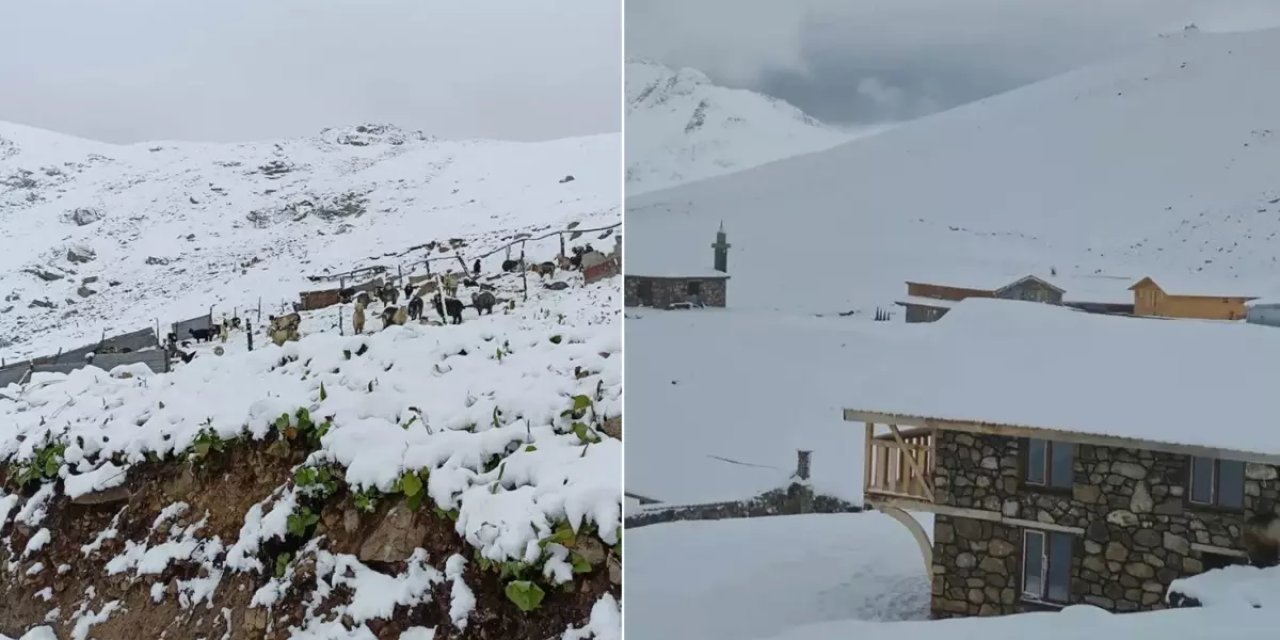 Yazın ortasında üç ile lapa lapa kar yağdı