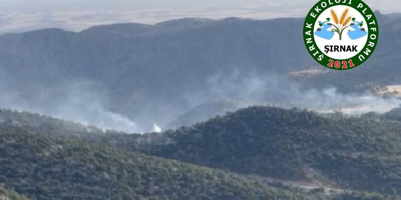 Şırnak Ekoloji Platformu, Gabar Dağı’nda Çıkan Yangının Nedenini Sordu