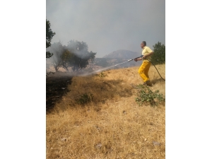 Adıyaman'da örtü yangınında 20 hektarlık alan zarar gördü