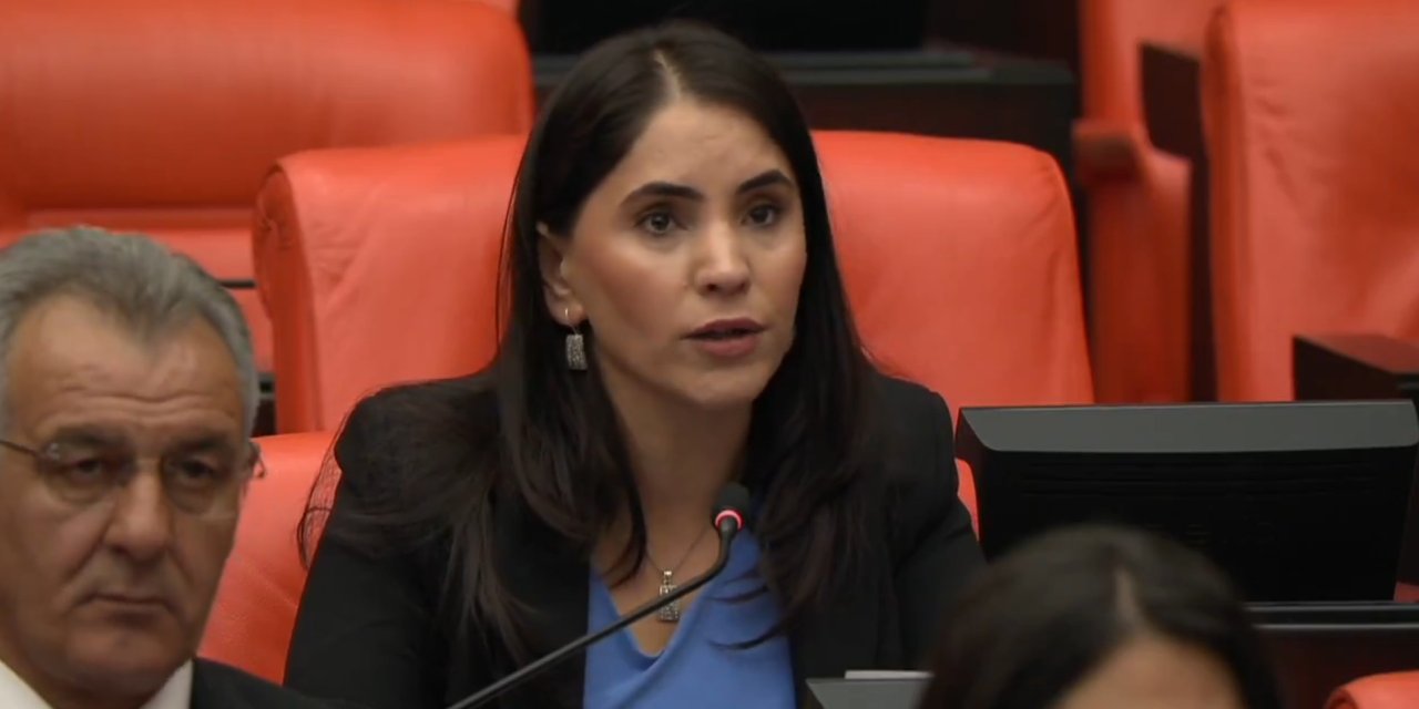 DEM Parti Milletvekili Aslan; “TPAO’da Liyakat Yok