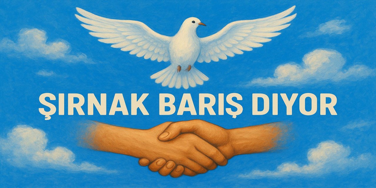 STK’lar Barış İçin Saat:18:00’da Şırnak’ta Buluşuyor