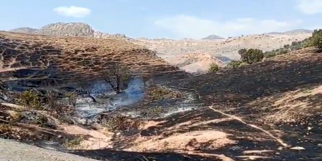 Silopi'de tarım arazilerinde yangın çıktı