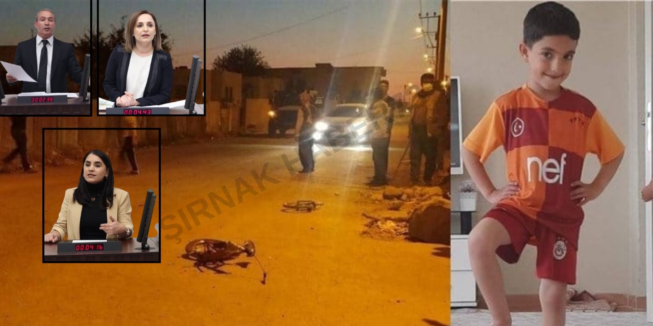 Milletvekillerden Şırnak'ta Zırhlı Polis Aracının Çarpması Sonucu Hayatını Kaybeden Miraç ile İlgili Açıklama