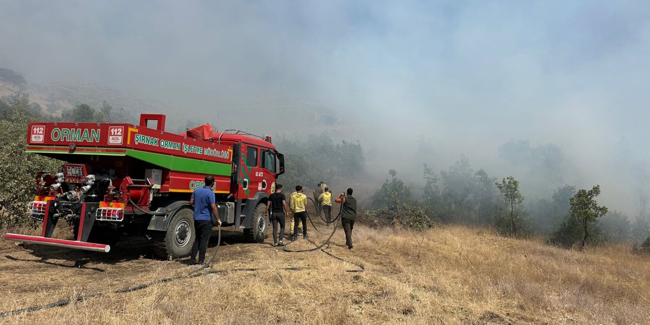 Şırnak’taki Örtü Yangını Kontrol Altına Alındı