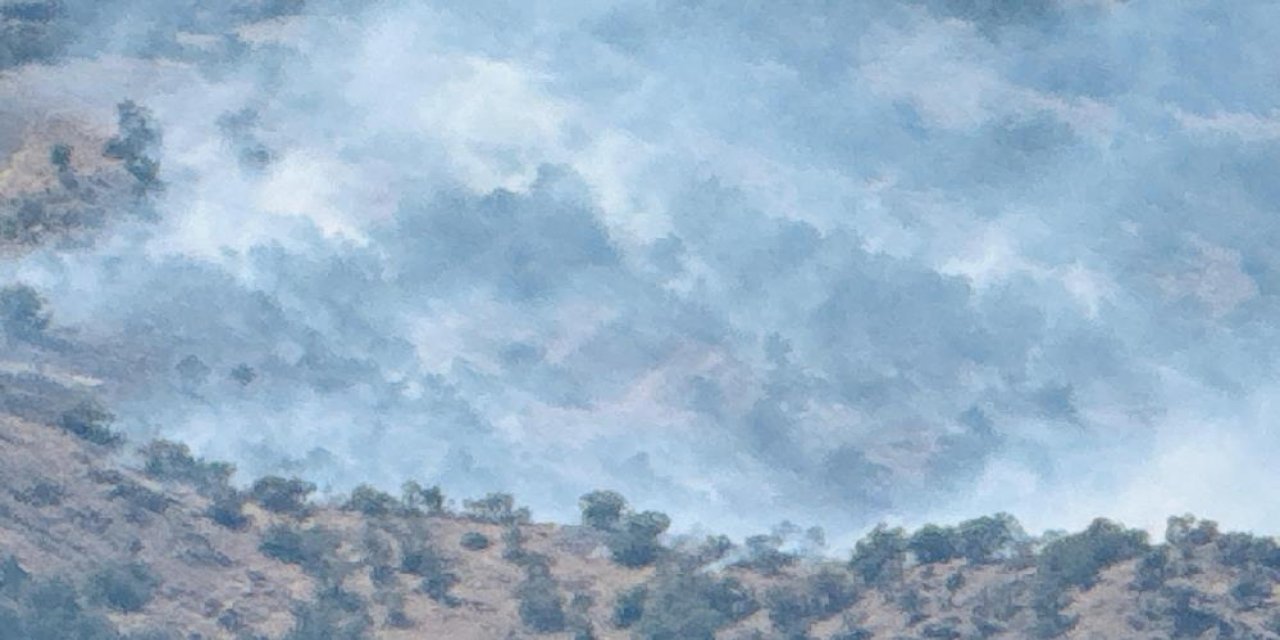 Şırnak’ta orman yangını 9 saatte kontrol altına alındı