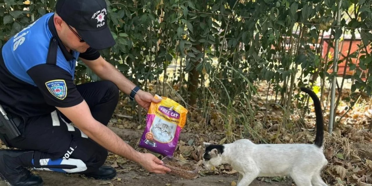 Cizre'de Polis Ekiplerinden Sokak Hayvanlarına Mama ve Su Desteği