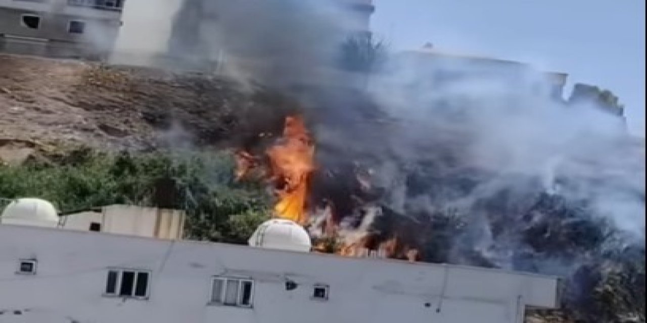 Cizre’de Korkutan Yangın