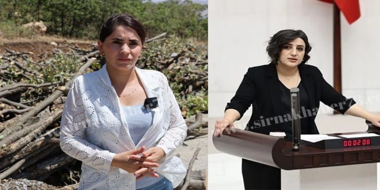 DEM Parti Milletvekilleri, Şırnak ve Siirt’teki Orman Kesimlerini Bakan Kurum’a Sordu