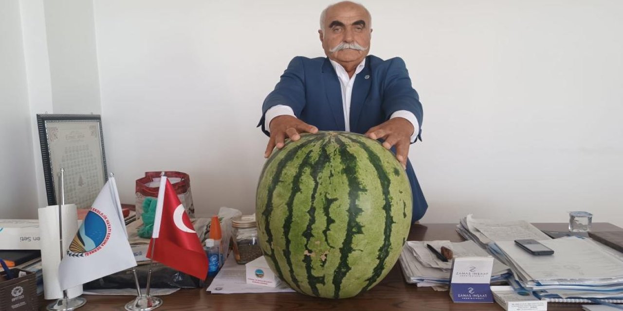 Batman Ovası'nda 45 kiloluk karpuz yetişti