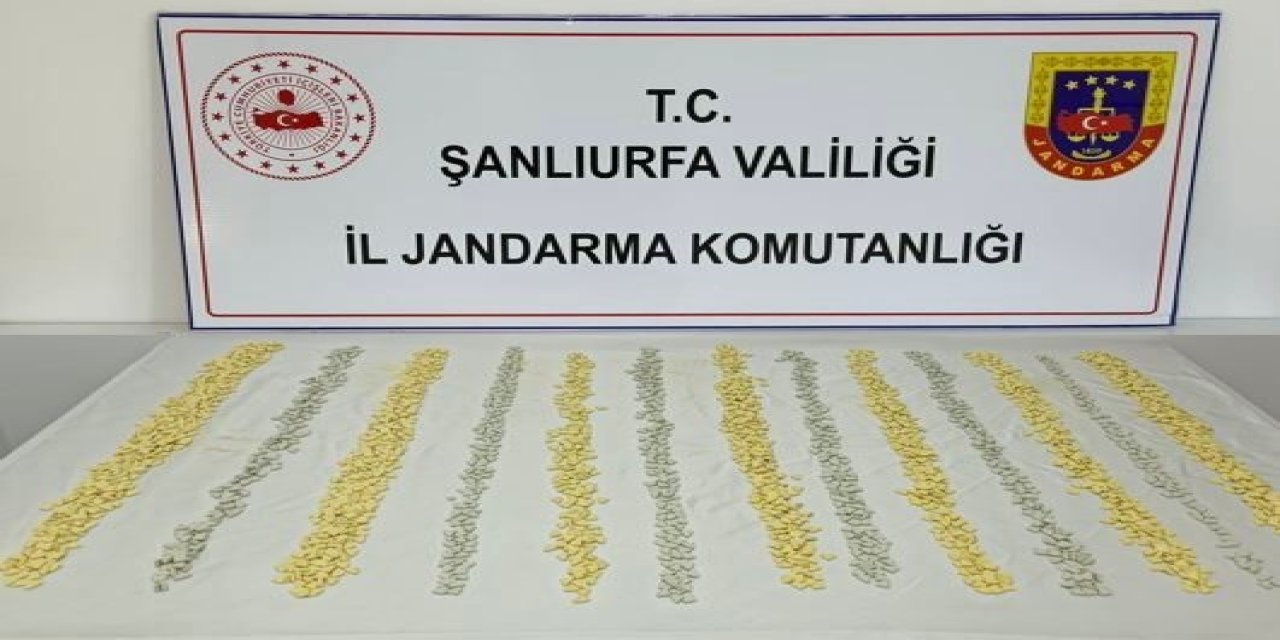 Mit Tespit Etti, Jandarma Operasyon Düzenledi
