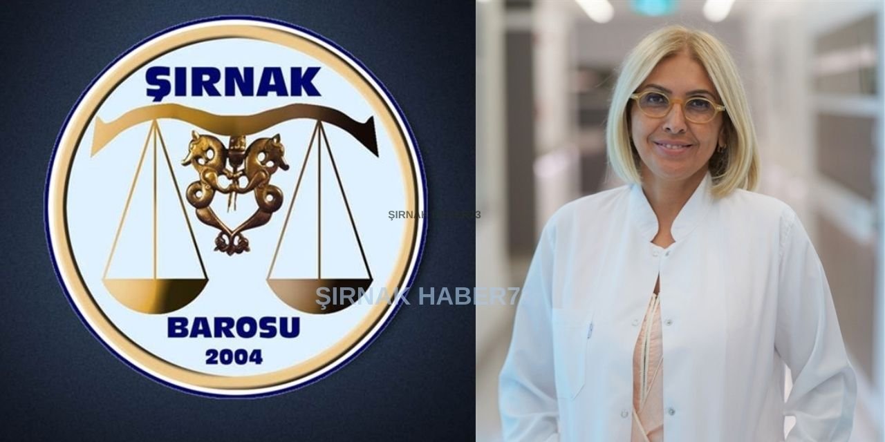 Şırnak Barosu’ndan, Prof. Dr. Bengi Başer’e X Paylaşımları Nedeniyle Tepki