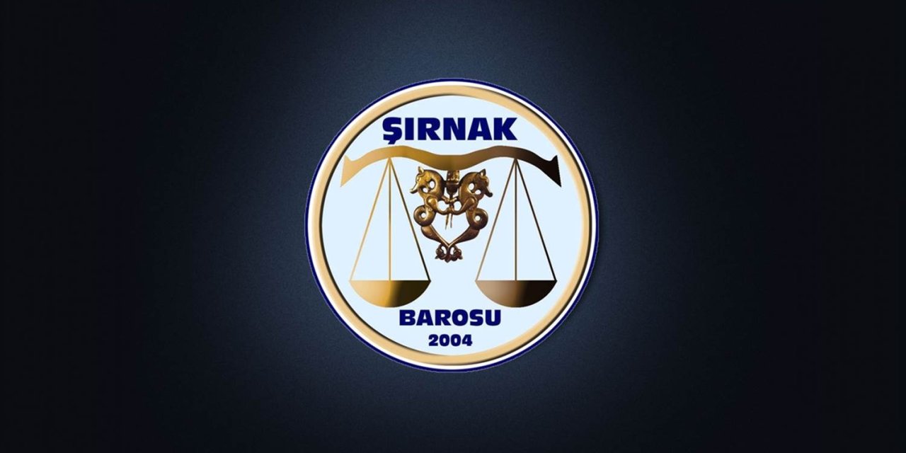 Şırnak Barosu’ndan Rojin Kabaiş Soruşturmasına Tepki