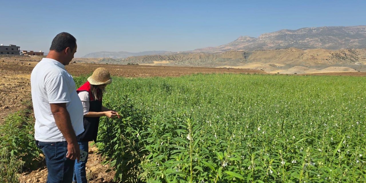 Şırnak’ta Susam Üreticileri Bilgilendirildi