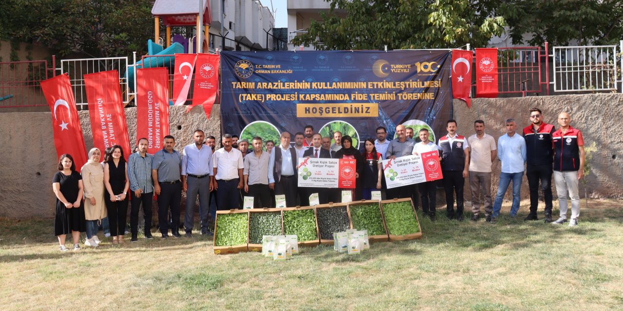 Şırnak’ta Çiftçilere 210 Bin Fide ve 73 Kilo Tohum Desteği