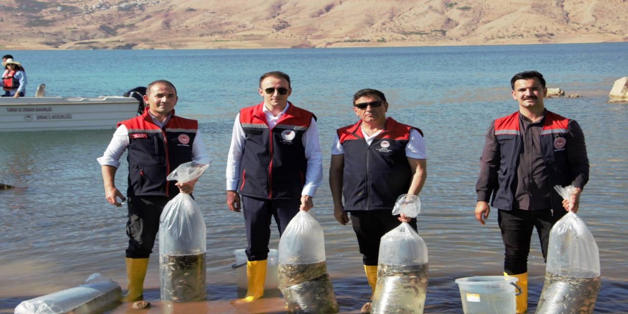 Şırnak’ta Balıkçılığa Büyük Destek: Ilısu Barajı’na 900 Bin Yavru Sazan Bırakıldı