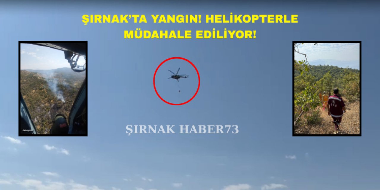 Şırnak Besta'da Yangın: Havadan ve Karadan Müdahale Ediliyor
