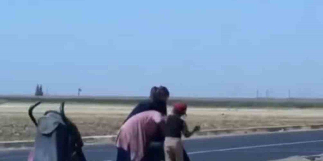 Mardin’de Dilenci Kadınlar Yol Ortasında Kavga Etti