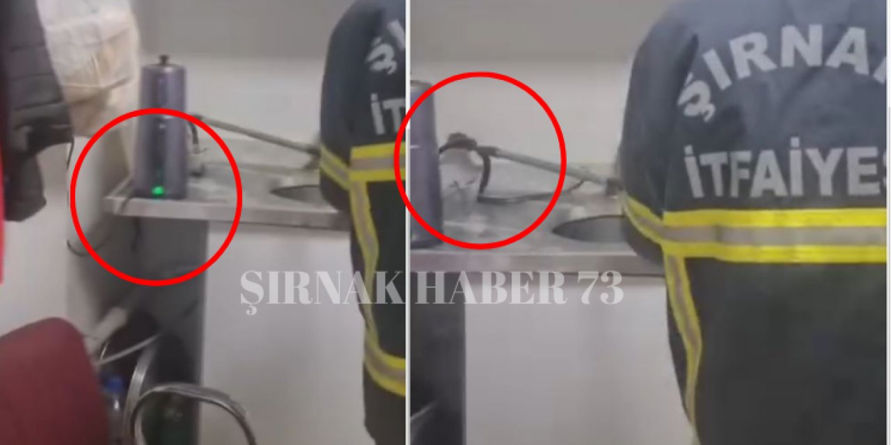 Şırnak'ta İş Yerine 1 Metrelik Yılan Girdi