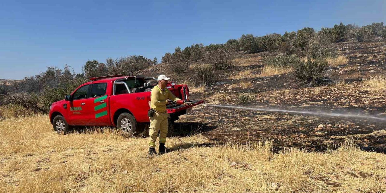 Yangına Müdahale Eden Ekipler Kaplumbağalara Su Verdi