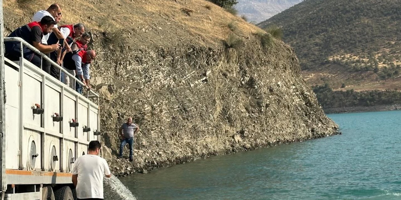 Siirt’te baraj gölüne 1 milyondan fazla balık salındı
