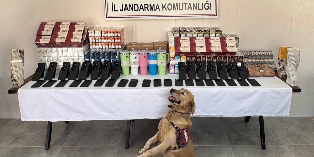 Şırnak'ta 12 milyon lira değerinde kaçak ürün ele geçirildi: 70 kişi gözaltına alındı