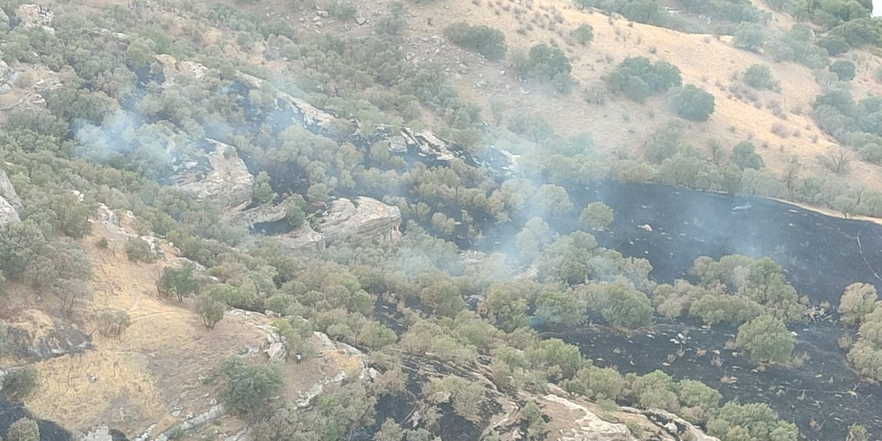 Sulak Köyündeki Yangın Söndürüldü