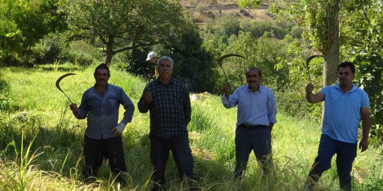 Batman’da orakla imece usulü hasat geleneği sürdürülüyor
