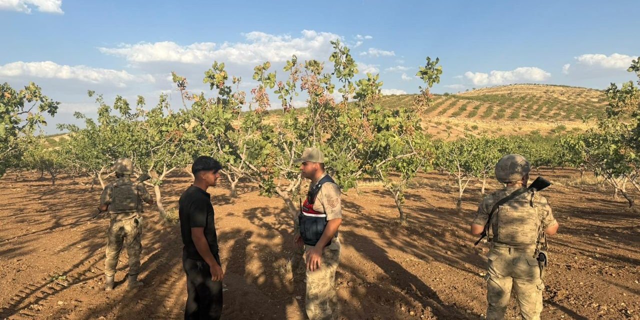 Siirt’te fıstık hasadı yaklaşmasıyla jandarma güvenliği üst seviyeye çıkardı