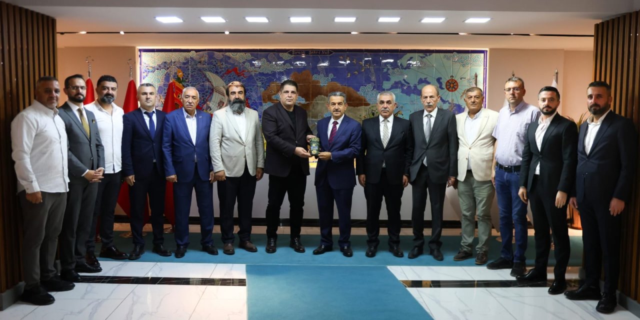 Silopi Kent Platformu Muayene İstasyonu, Doğalgaz ve Hastane İçin Girişimde Bulundu