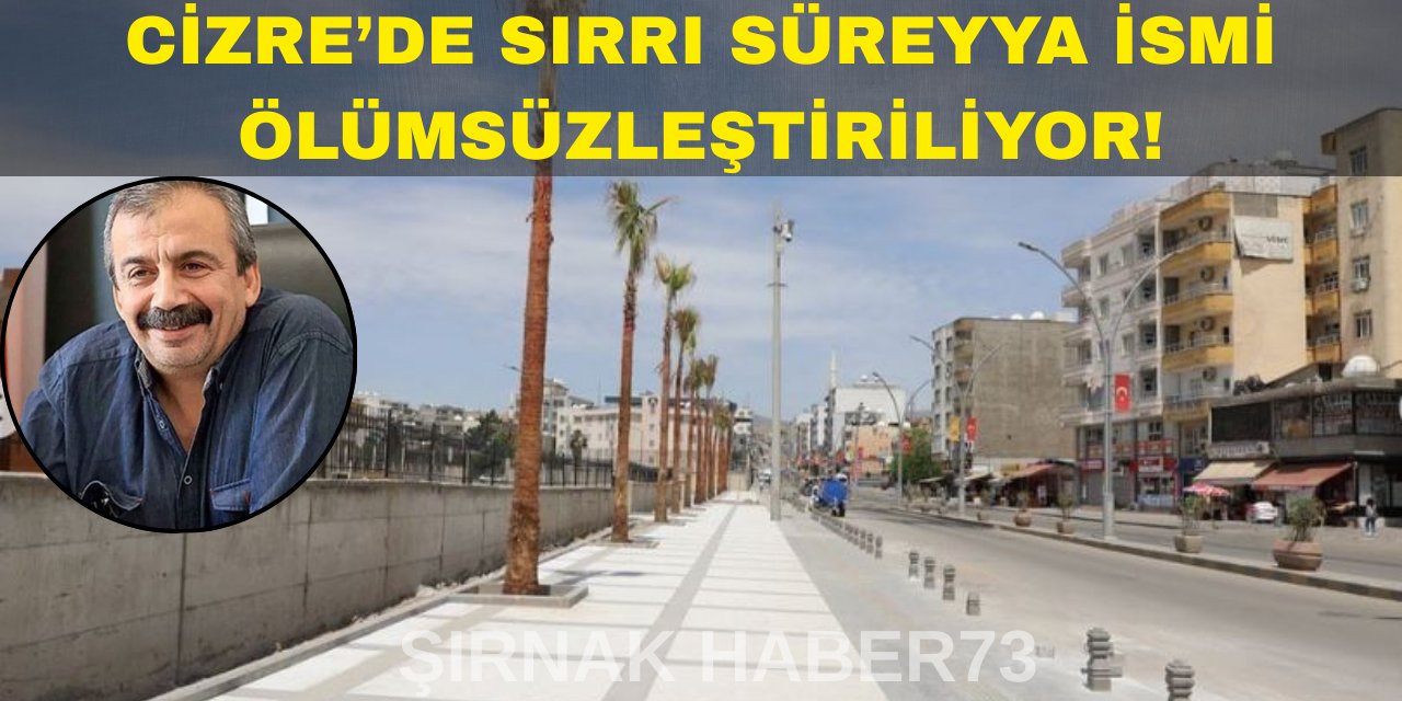 Cizre Belediyesi'nden Anlamlı Karar: O Caddeye Sırrı Süreyya Önder İsmi Verildi