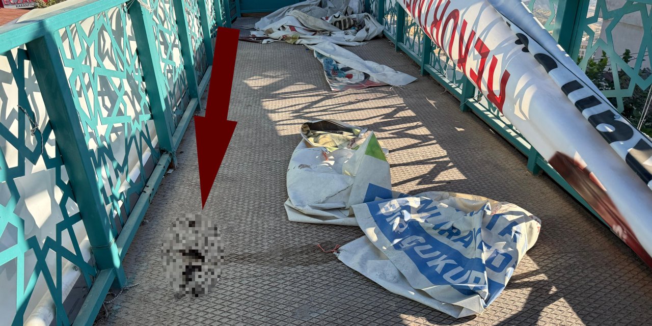 Şırnak’ta Sadece Bir Tane Var Ve Pislikten Geçilmiyor!