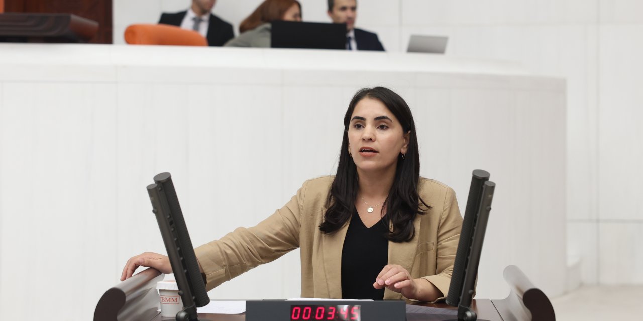 DEM Partili Aslan; “Balveren’de Yaşam Hakkı Alarm Veriyor”