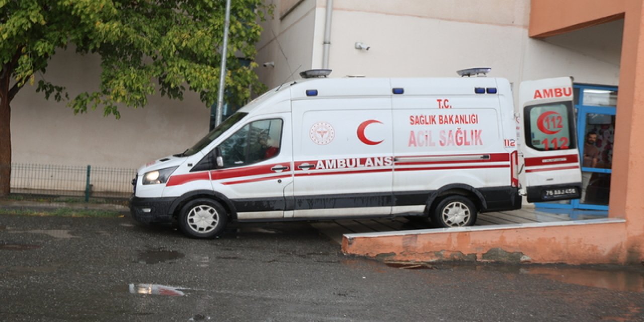 Hayvan otlatırken yıldırım isabet eden 18 yaşındaki genç hayatını kaybetti