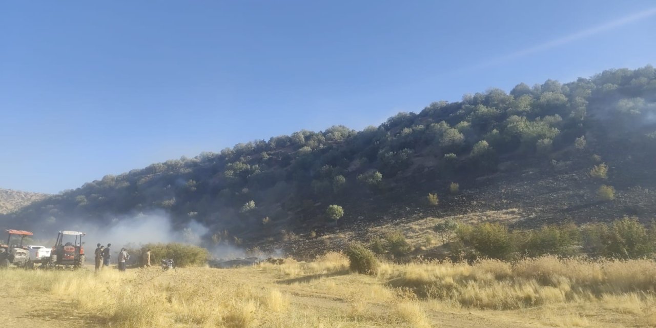 Diyarbakır’da Anız Yangını Ormanlık Alana Sıçradı