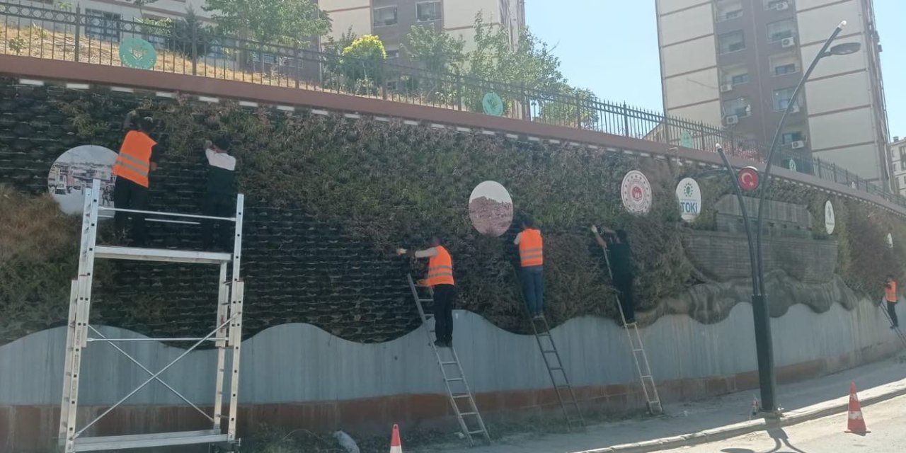 Şırnak Belediyesi Orta Refüj ve Dikey Bahçeleri Yeniliyor