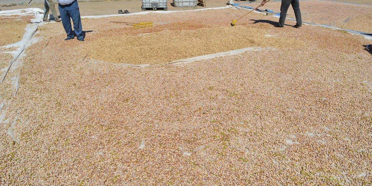 Şırnak, Şanlıurfa, Siirt, Batman, Diyarbakır ve Birecik'ten Ortak Tepki: "Üreticiye Son Darbe Olur"