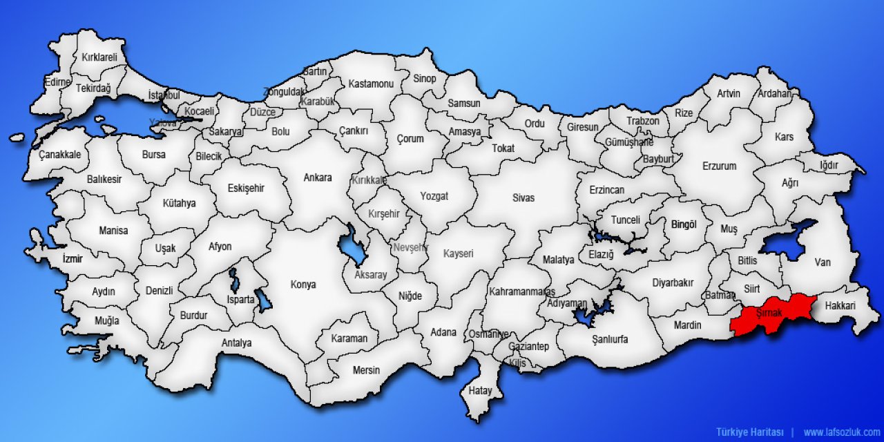 Türkiye’de 2 Milyon 546 Bin 938 Tane, Şırnak’ta İse Sadece 6 Bin 559 Tane Var