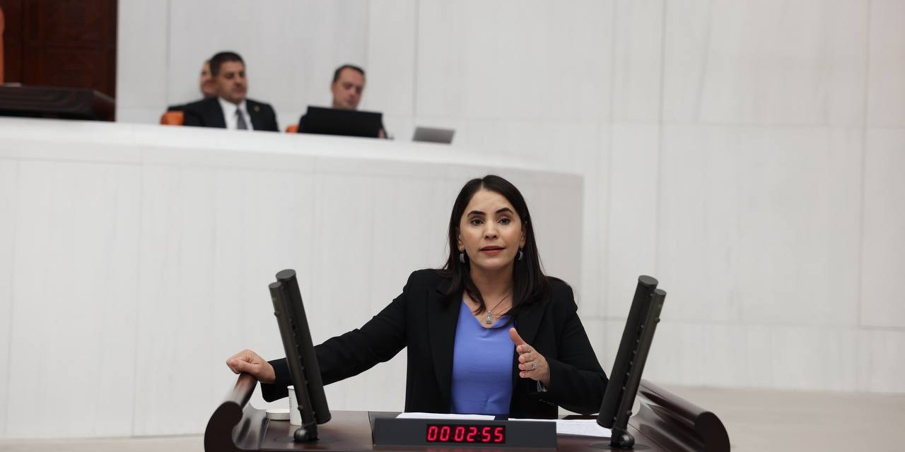 Şırnak Milletvekili Nevroz Uysal Aslan’dan TBMM’ye Özel Eğitim Soru Önergesi