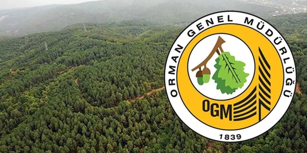 Orman Genel Müdürlüğü 262 Daimi İşçi Alacak!