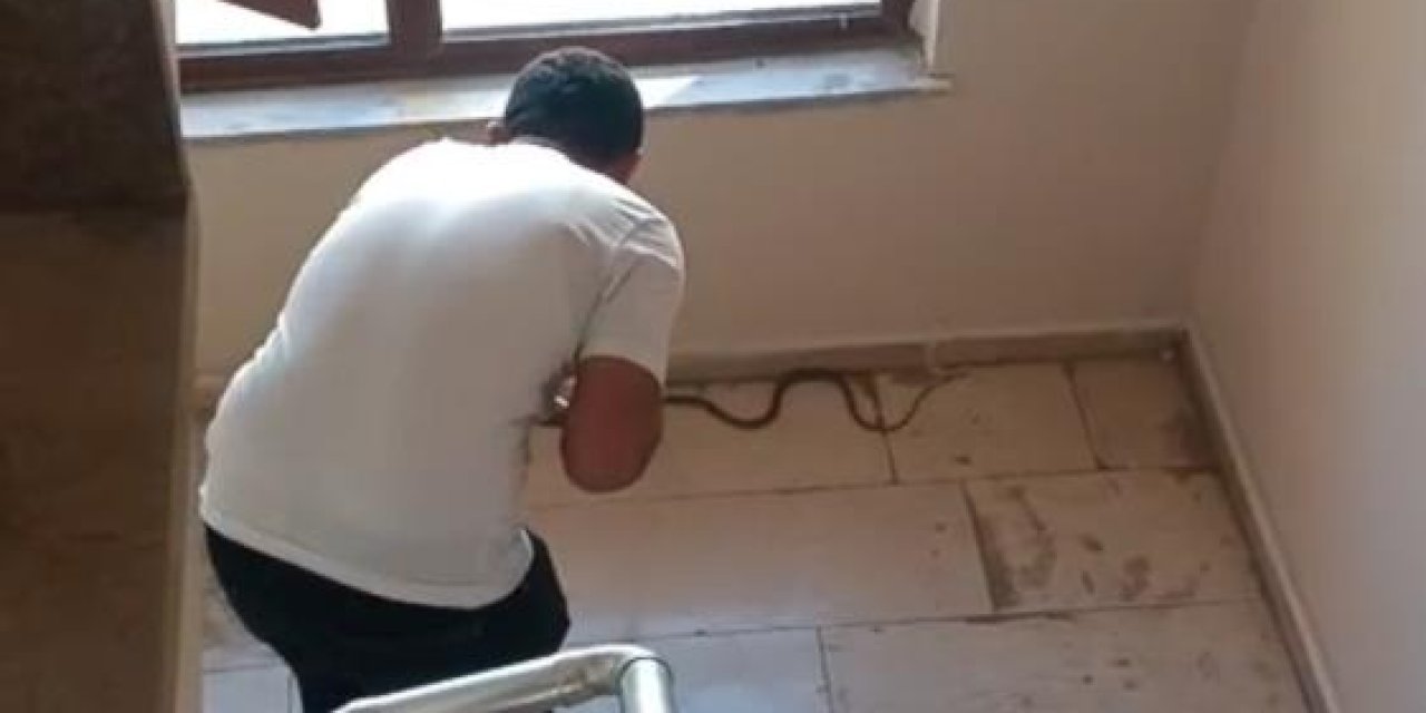 Şırnak’ta bir binanın üst katında görülen yılan korkuttu