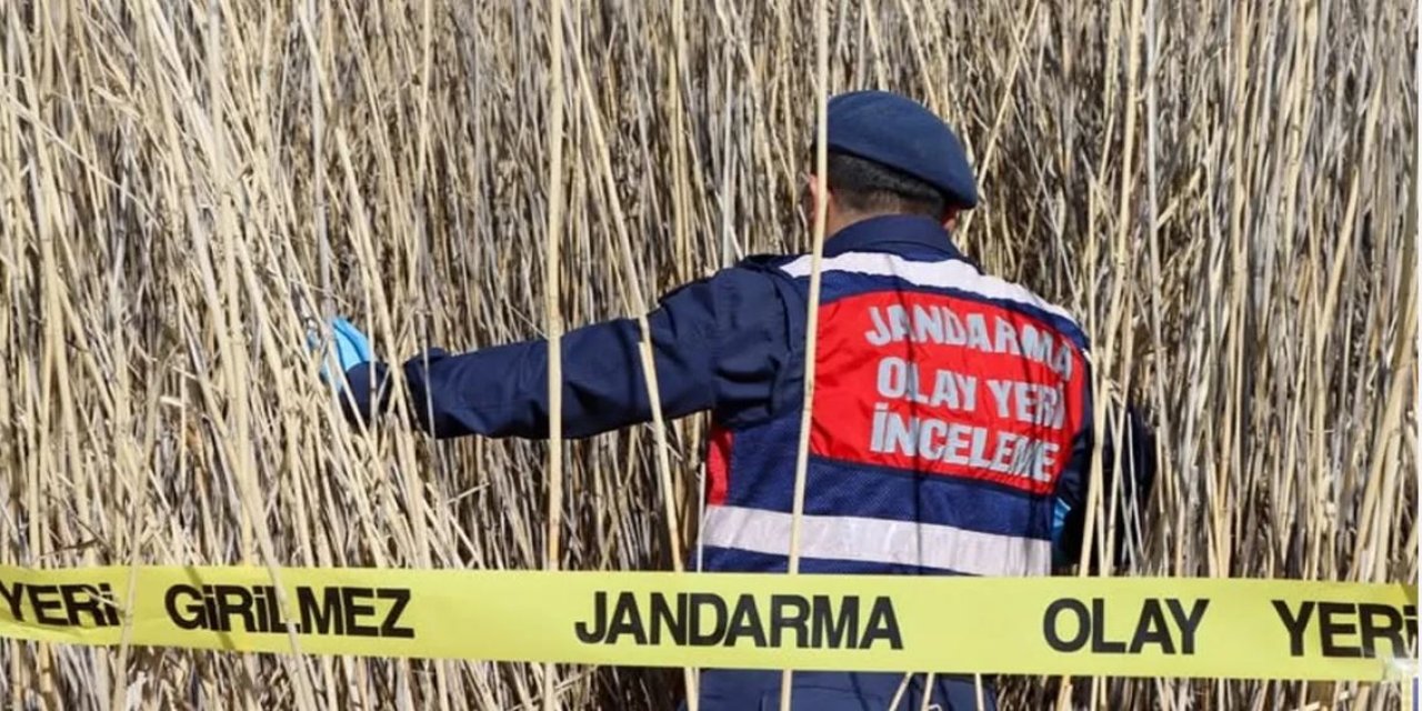 Çobanlar yanmış halde erkek cesedi buldu