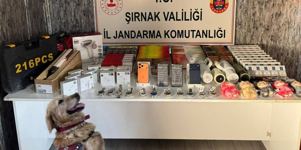 Şırnak’ta 14 Milyon TL Değerinde Kaçak Malzeme Ele Geçirildi