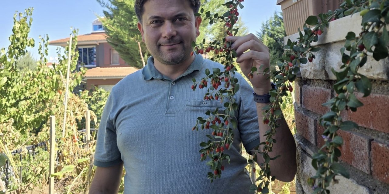 Van’da görev yapan doktor, tropik meyve yetiştiriyor