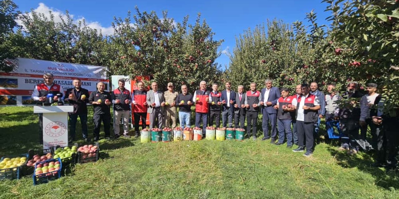 Muş’ta elma hasadından 100 milyon liralık gelir bekleniyor