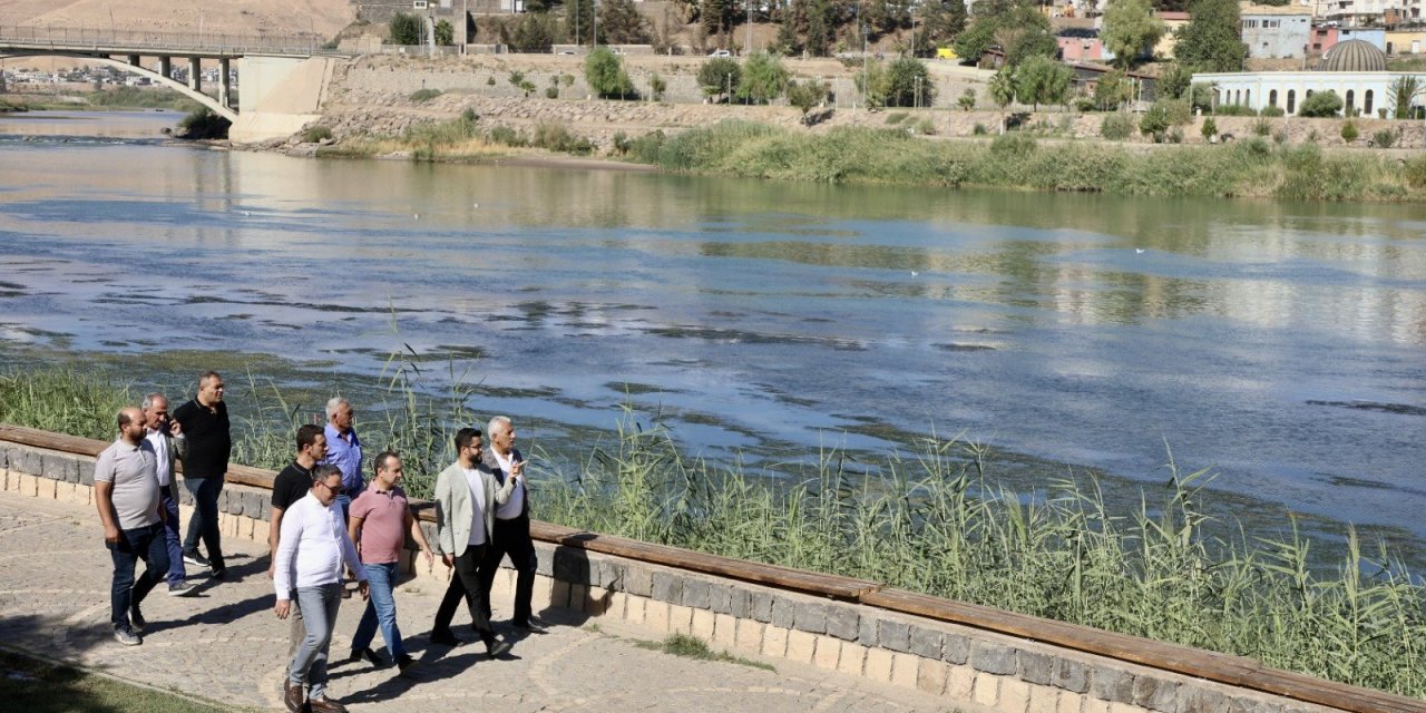 Cizre'de Dicle Nehri İçin Yosun ve Balçık Temizleme Seferberliği Başlıyor