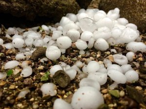 ULUDERE'DE CEVİZ BÜYÜKLÜĞÜNDE DOLU YAĞDI