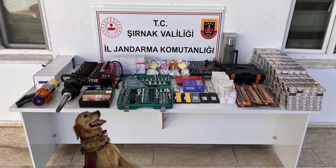 Şırnak'ta kaçakçılık operasyonlarında 102 gözaltı