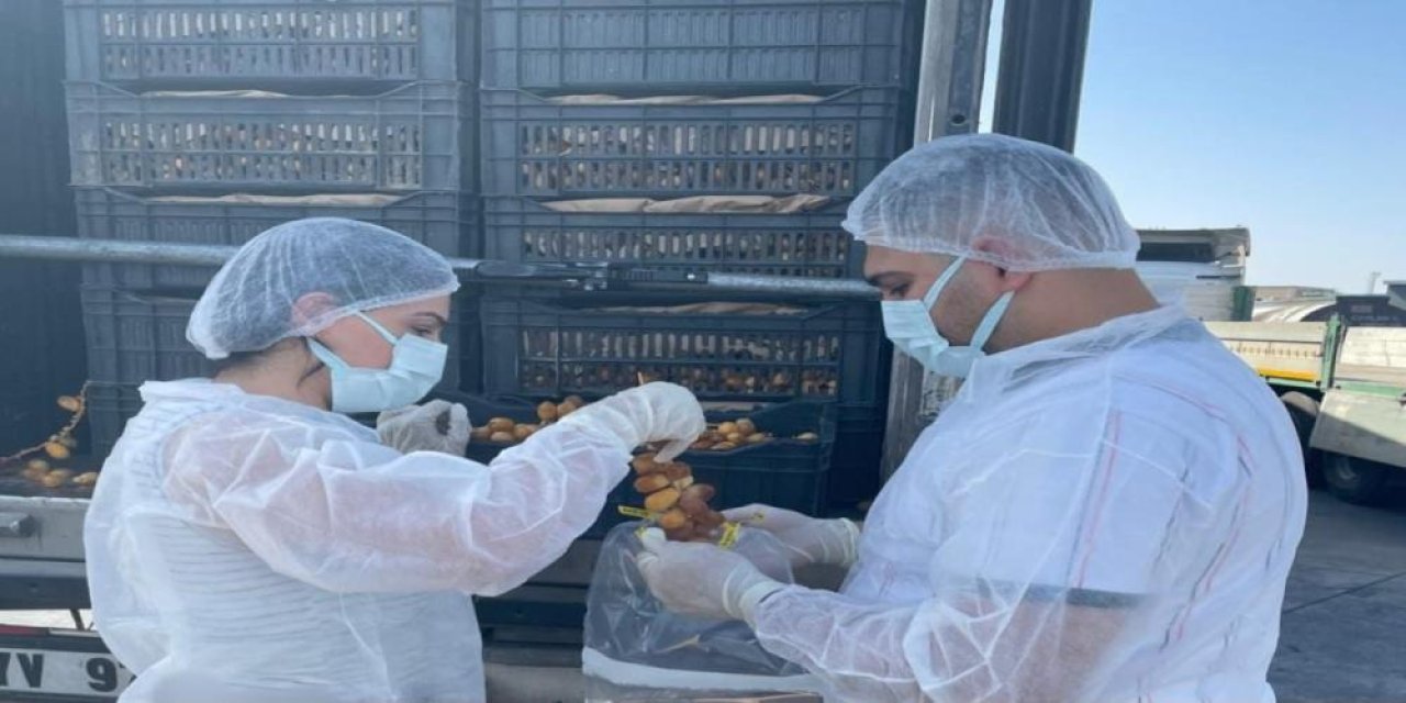 Habur Sınır Kapısında Sıkı Denetim