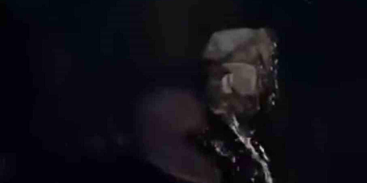 Hakkari'de derede yiyecek arayan su samuru görüldü